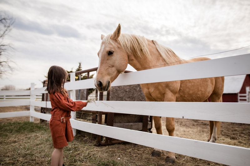 Young girl feeding a horse through a white fence at a farm